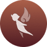 Gliding Champion
