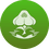 Surgent Manifestation