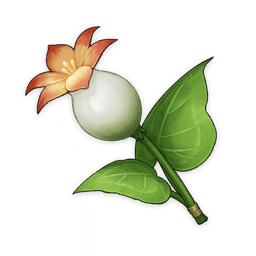 calla-lily