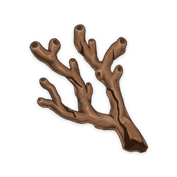 coral-branch-of-a-distant-sea