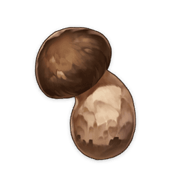 matsutake