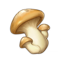 mushroom