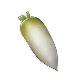 radish