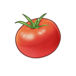 tomato